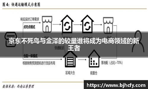 京东不死鸟与金泽的较量谁将成为电商领域的新王者